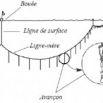 Pêche palangrière horizontale