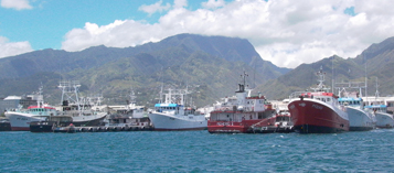 Pêche palangrière horizontale
