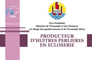 Carte Producteur D’huîtres Perlières En écloserie