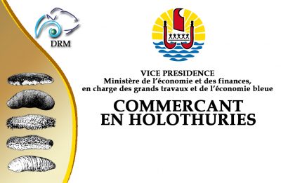 Carte Commerçant D’holothuries