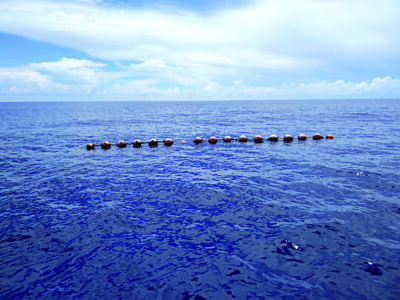 LIGNE PECHE 2