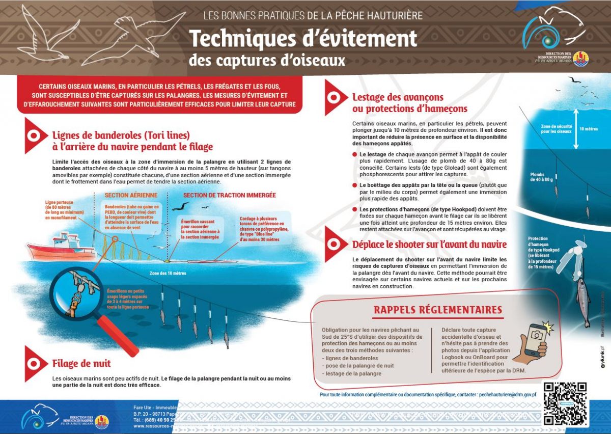Affiche Techniques D’évitement Des Captures D’oiseaux Direction des