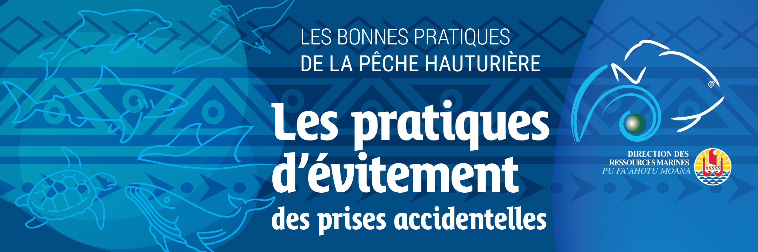 Entête BPPH Les Pratiques D’évitement