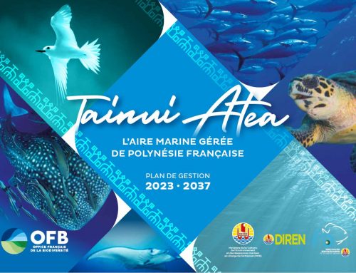 Un nouveau plan de gestion pour Tainui Atea