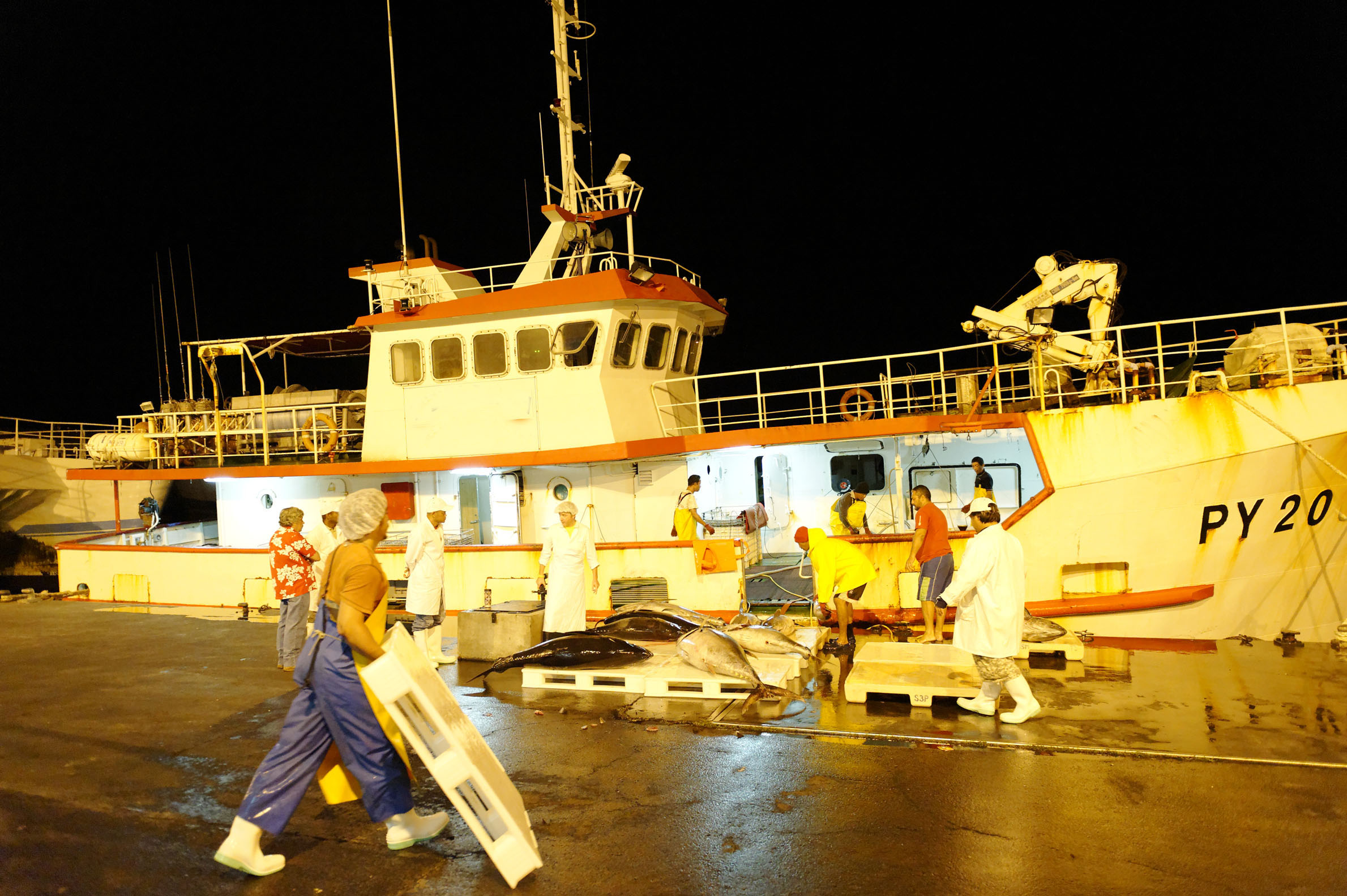Port De Pêche PPT