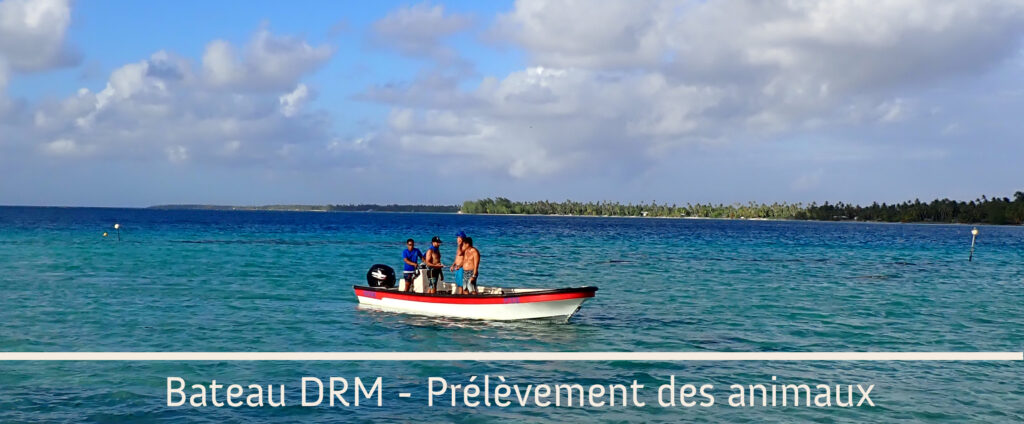 Bateau DRM Prelevement Animaux Web