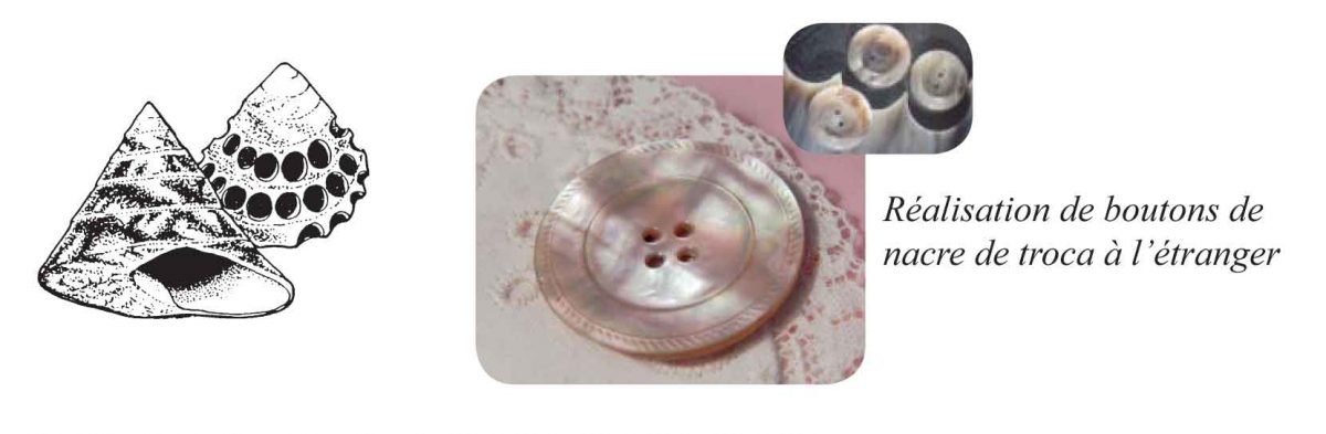 COMMENT EST FABRIQU E LA COQUILLE visual data 6