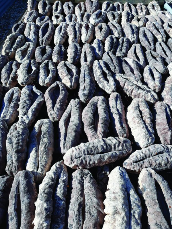 Gestion De La Ressource Image 1